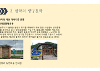 한국의 생명철학-16