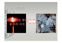 민주주의의 불씨 혁명-14