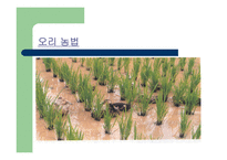 환경생물농축 레포트-11