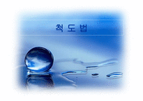 척도 법2 레포트-1