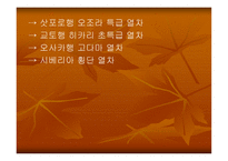 폴써루의유라시아 횡단 기행-11