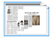 포르노 문학작품의 법적 검열-9