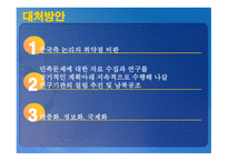 동북공정 레포트-13