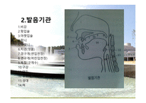 언어의 소리 레포트-4