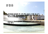 언어의 소리 레포트-15