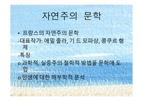 여자의 일생 사실주의 문학 과자 연주의 문학-7