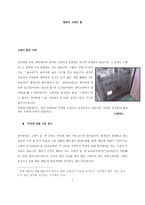 일본의 고양이 붐-1