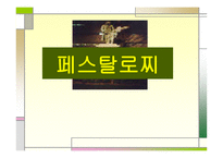 페스탈로치 분석 보고-1