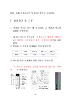 실험보고서 엽록체 색소의 크로마토그래피-5