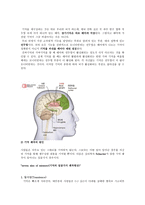 착각과 기억 왜곡의 실험-5