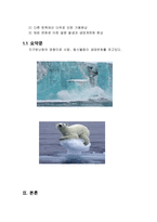 지구온난화로 인한 북극 동식물 등 생태서식지 변화와 위기-2
