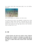 지구온난화로 인한 북극 동식물 등 생태서식지 변화와 위기-7