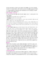 이탈리아의 음식문화-10