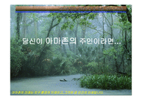 아마존의 환경적 피해-1