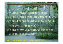 아마존의 환경적 피해-2
