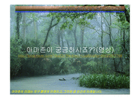 아마존의 환경적 피해-3