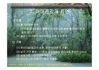 아마존의 환경적 피해-4