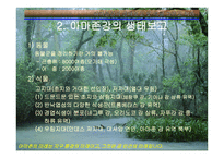 아마존의 환경적 피해-6