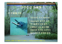 아마존의 환경적 피해-7