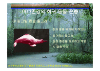 아마존의 환경적 피해-8