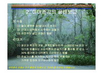 아마존의 환경적 피해-15