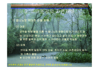 아마존의 환경적 피해-16