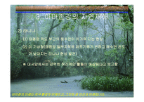 아마존의 환경적 피해-17