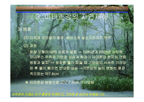 아마존의 환경적 피해-18