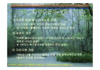 아마존의 환경적 피해-19