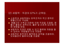 맥관계 혈관계의 구조와 생리-7