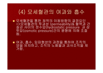 맥관계 혈관계의 구조와 생리-10