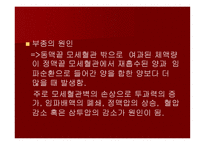 맥관계 혈관계의 구조와 생리-11