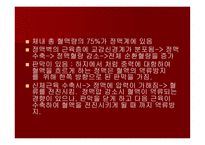 맥관계 혈관계의 구조와 생리-13