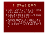 맥관계 혈관계의 구조와 생리-14