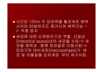 맥관계 혈관계의 구조와 생리-16