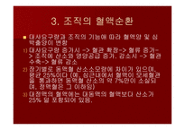 맥관계 혈관계의 구조와 생리-17
