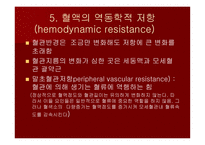 맥관계 혈관계의 구조와 생리-20
