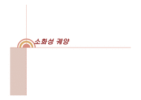 소화성궤양 레포트-1