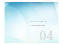 SilverCohousing 레포트-12