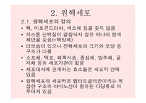 원핵세포와 진핵세포란 무엇인가-4
