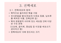원핵세포와 진핵세포란 무엇인가-9
