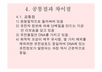 원핵세포와 진핵세포란 무엇인가-13