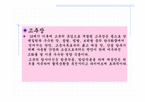 발효식품 레포트-11