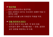 세계인의 건강식품 김치-3