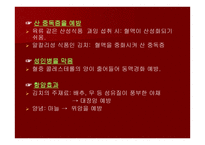 세계인의 건강식품 김치-4