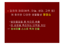 세계인의 건강식품 김치-8