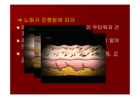 세계인의 건강식품 김치-13