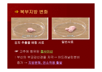 세계인의 건강식품 김치-16