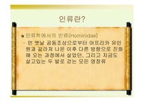 인류의 기원과 진화-2