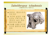인류의 기원과 진화-3